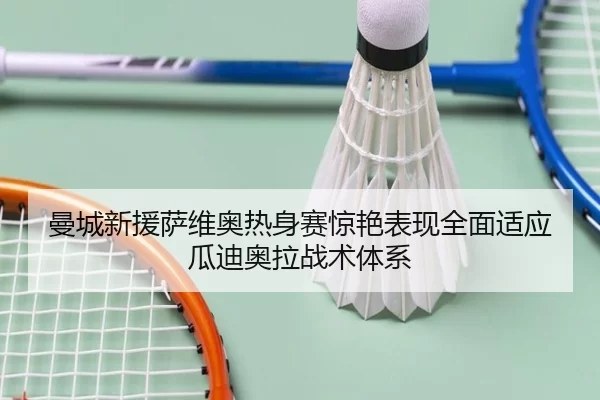 man-cheng-xin-yuan-sa-wei-ao-re-shen-sai-jing-yan-biao-xian-quan-mian-shi-ying-gua-di-ao-la-zhan-shu-ti-xi-3-777.jpg