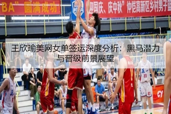 wang-xin-yu-mei-wang-nv-dan-qian-yun-shen-du-fen-xi-hei-ma-qian-li-yu-jin-ji-qian-jing-zhan-wang-3-713.jpg